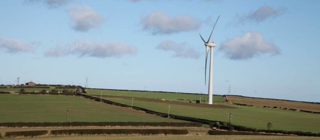 A wind turbine in a field with Codrington Wind Farm in the background
Description automatically generated